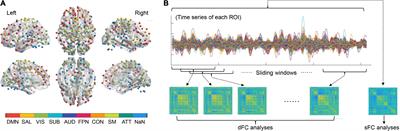 Problematic smartphone use is associated with differences in static and dynamic brain functional connectivity in young adults